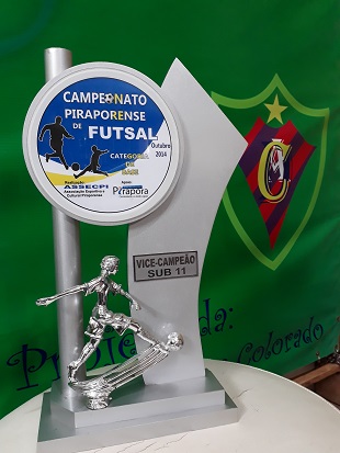 Campeão Sub-11 - 2014