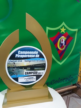 Campeão Sub-11 - 2015