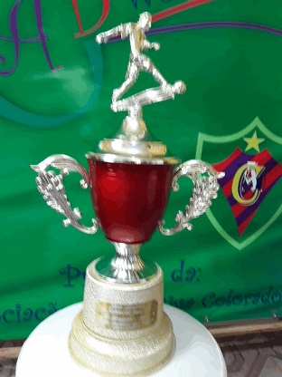 Campeão da Taça Santina Sub-13 - 2015